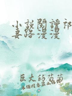 小说阅读祁少追妻路漫漫