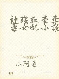 被强取豪夺的恶毒女配小说