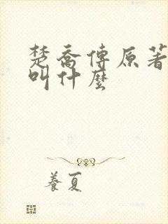 楚乔传原著小说叫什么