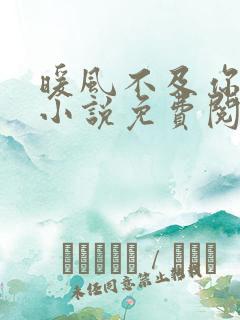 暖风不及你情深小说免费阅读全集