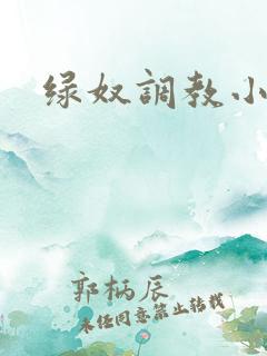 绿奴调教小说