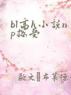 bl高h小说np总受