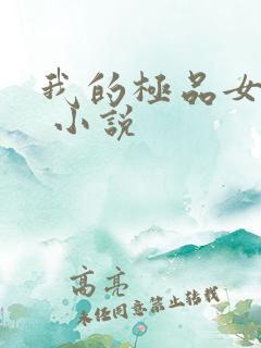 我的极品女老板 小说