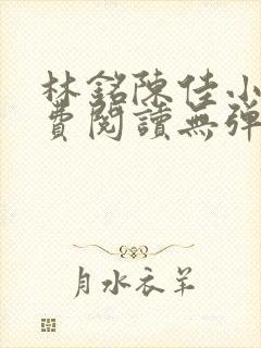 林铭陈佳小说免费阅读无弹窗下载