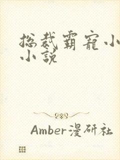 总裁霸宠小甜妻小说