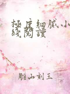 极度细腻小说在线阅读