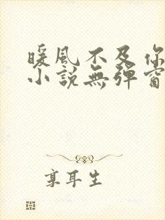 暖风不及你情深小说无弹窗无广告