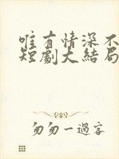 唯有情深不可负短剧大结局