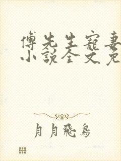 傅先生宠妻无度小说全文免费阅读