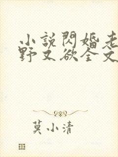 小说闪婚老公又野又欲全文