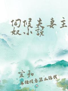 伺候夫妻主的绿奴小说