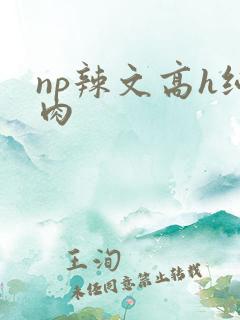 np辣文高h纯肉