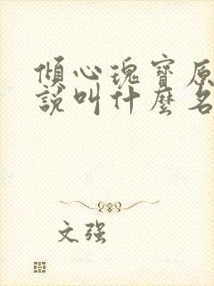 倾心瑰宝原著小说叫什么名字