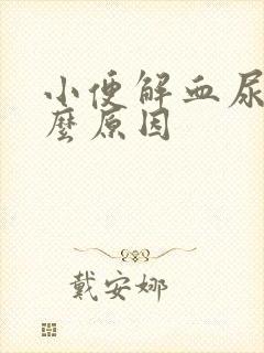 小便解血尿是什么原因