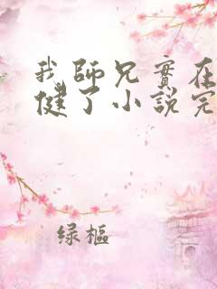 我师兄实在太稳健了小说完本