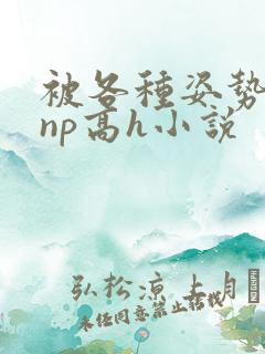 被各种姿势玩弄np高h小说