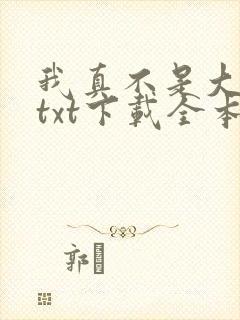 我真不是大明星txt下载全本