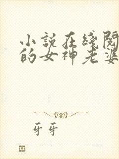 小说在线阅读我的女神老婆