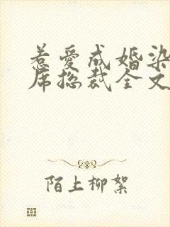 惹爱成婚染指首席总裁全文阅读