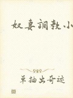 奴妻调教小说h