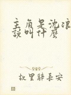 主角是沈浪的小说叫什么