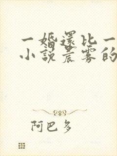 一婚还比一婚高小说晨雾的光完整版全文阅读