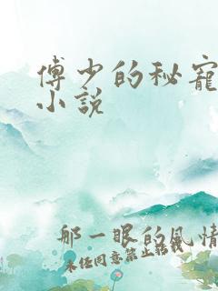 傅少的秘宠娇妻小说