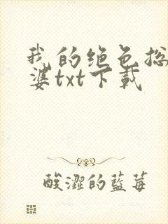 我的绝色总裁老婆txt下载