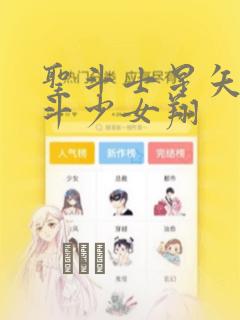 圣斗士星矢 圣斗少女翔