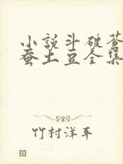 小说斗破苍穹天蚕土豆全集下载