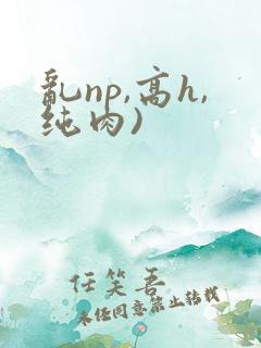 乱np,高h,纯肉)