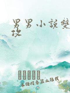 男男小说双性互攻