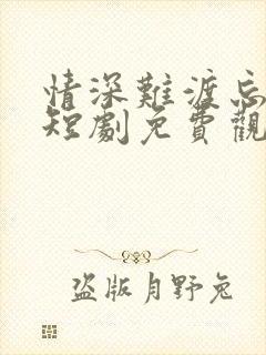 情深难渡忘归人短剧免费观看