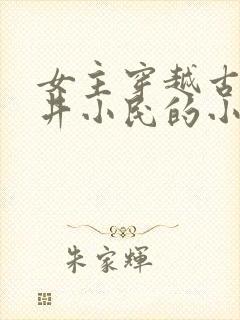 女主穿越古代市井小民的小说