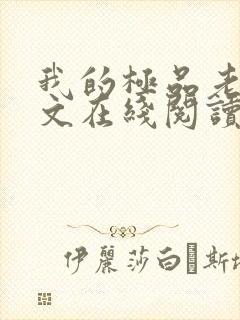 我的极品老婆全文在线阅读