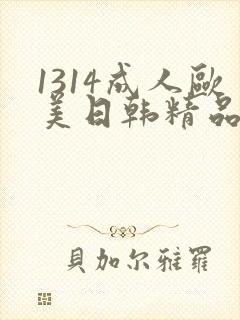 1314成人欧美日韩精品