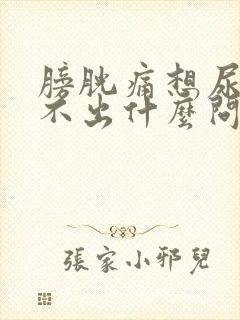 膀胱痛想尿又尿不出什么问题