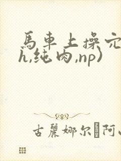 马车上操穴(高h,纯肉,np)