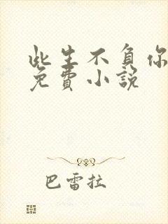 此生不负你情深免费小说