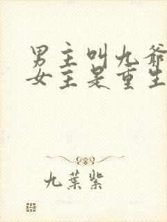 男主叫九爷的,女主是重生的小说
