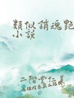 类似销魂艳婢的小说