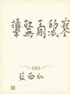 摄政王的宠妻日常无删减全本阅读