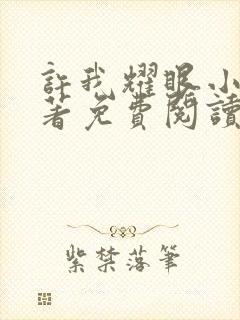 许我耀眼小说原著免费阅读