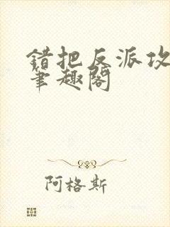 错把反派攻略了笔趣阁