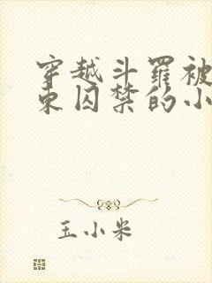 穿越斗罗被比比东囚禁的小说