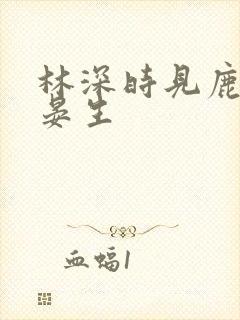 林深时见鹿小说晏生