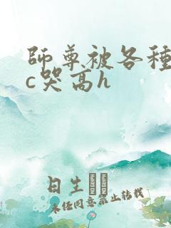师尊被各种姿势c哭高h