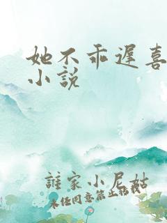 她不乖迟喜原著小说