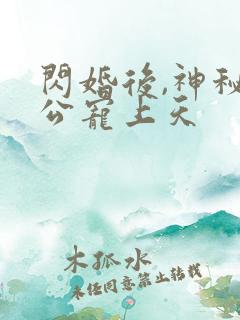 闪婚后,神秘老公宠上天