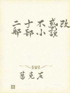 二十不惑改编自哪部小说